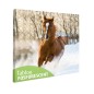 Tablou fosforescent Manz prin zapada Tablou fosforescent Manz prin zapada