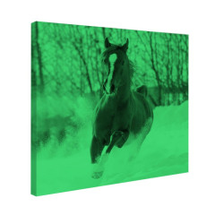 Tablou fosforescent Manz prin zapada 