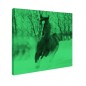 Tablou fosforescent Manz prin zapada Tablou fosforescent Manz prin zapada