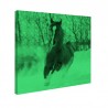 Tablou fosforescent Manz prin zapada
