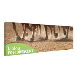 Tablou fosforescent Cursa de cai 