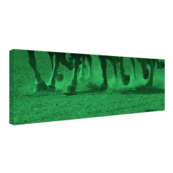 Tablou fosforescent Cursa de cai 