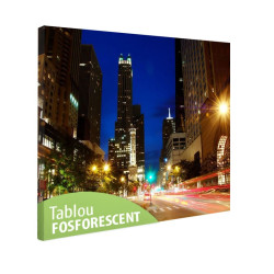 Tablou fosforescent Chicago 