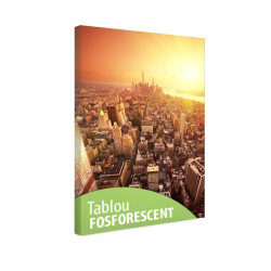 Tablou fosforescent Viitorul New York