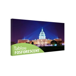 Tablou fosforescent Washington DC