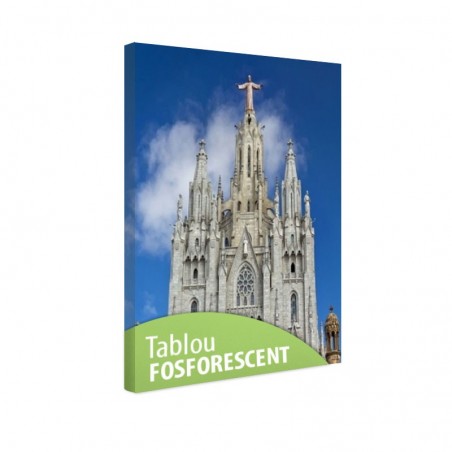 Tablou fosforescent Templu in Barcelona