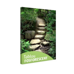 Tablou fosforescent Mai sus!