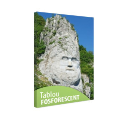 Tablou fosforescent Decebal