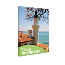 Tablou fosforescent Moschee la malul marii