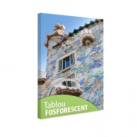 Tablou fosforescent Casa de Gaudi