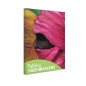 Tablou fosforescent Tuareg 