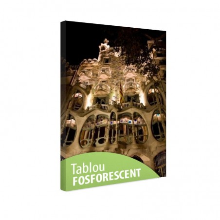 Tablou fosforescent Opera lui Gaudi