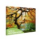 Tablou fosforescent Artar toamna Tablou fosforescent Artar toamna