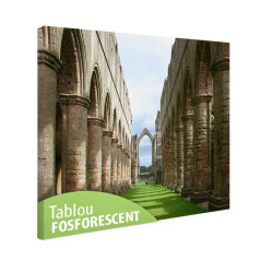 Tablou fosforescent Yorkshire Anglia
