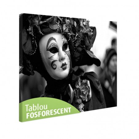 Tablou fosforescent Mister in Venetia