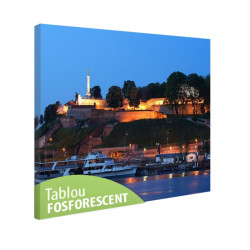 Tablou fosforescent Cetatea Kalemegdan