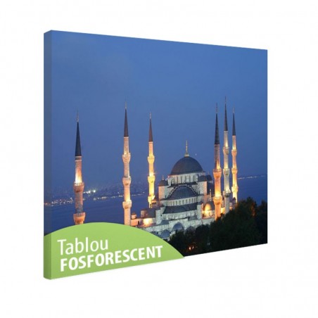 Tablou fosforescent Moscheea Albastra
