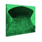 Tablou fosforescent Voronet