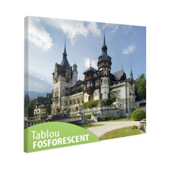 Tablou fosforescent Castelul Peles