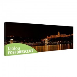 Tablou fosforescent Budapesta Palat