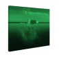 Tablou fosforescent Adancimi 