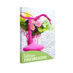 Tablou fosforescent Bicicleta roz 