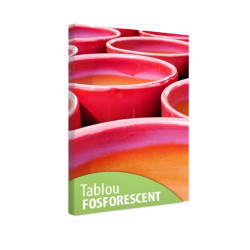 Tablou fosforescent Ghivece rosii 