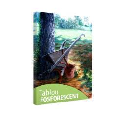 Tablou fosforescent Roaba 