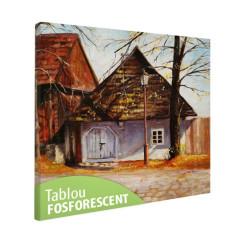 Tablou fosforescent Casa veche 