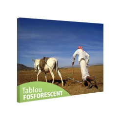 Tablou fosforescent La origini 
