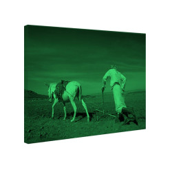 Tablou fosforescent La origini 
