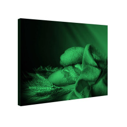 Tablou fosforescent Paine 