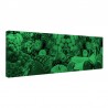Tablou fosforescent Mix de fructe 