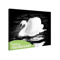 Tablou fosforescent Lebada