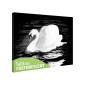 Tablou fosforescent Lebada