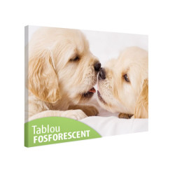 Tablou fosforescent Iubareti
