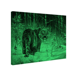 Tablou fosforescent Tigru siberian 