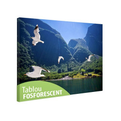 Tablou fosforescent Fiord 
