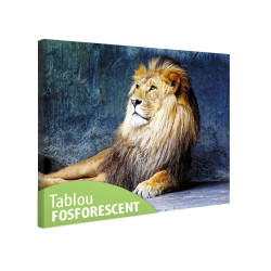 Tablou fosforescent Regele leu