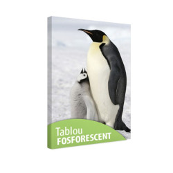 Tablou fosforescent Pinguini