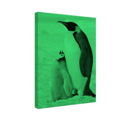 Tablou fosforescent Pinguini