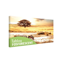 Tablou fosforescent Savana 