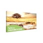 Tablou fosforescent Savana 