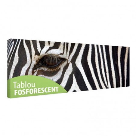 Tablou fosforescent﻿ Zebra 