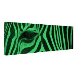 Tablou fosforescent﻿ Zebra 