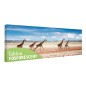 Tablou fosforescent Girafe alergand 