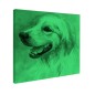 Tablou fosforescent Labrador 
