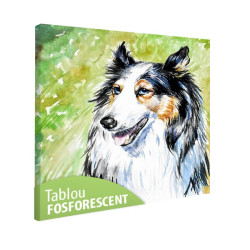 Tablou fosforescent Collie 