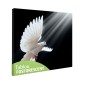 Tablou fosforescent Porumbel alb Tablou fosforescent Porumbel alb