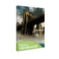 Tablou fosforescent Barca sub pod Tablou fosforescent Barca sub pod
